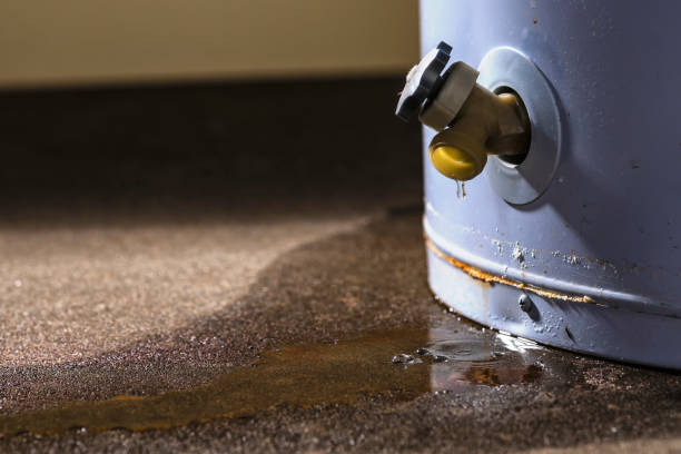 Best Fire Damage Restoration  in Fort Payne, AL