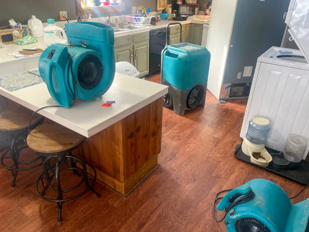 Carpet water damage restoration in Fort Payne, AL