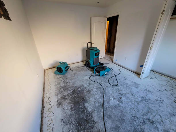 Best Carpet water damage restoration  in Fort Payne, AL