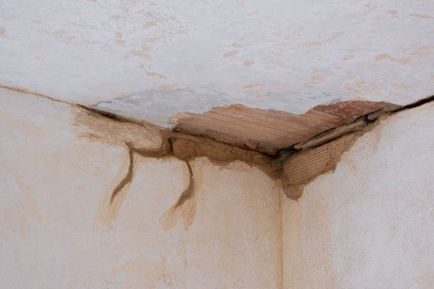 Best Water damage contractors near me  in Fort Payne, AL