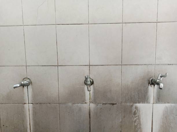 Best Flood restoration services  in Fort Payne, AL