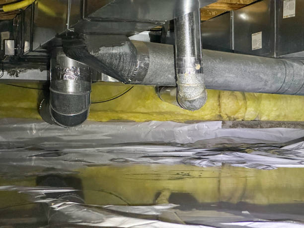 Best Water damage cleanup near me  in Fort Payne, AL