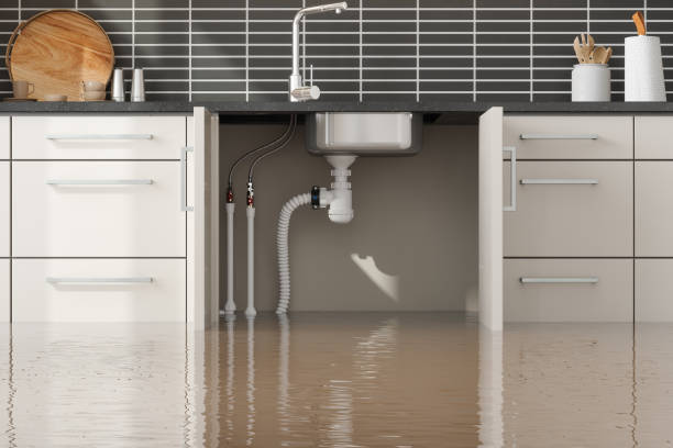 Best Flood damage cleanup  in Fort Payne, AL