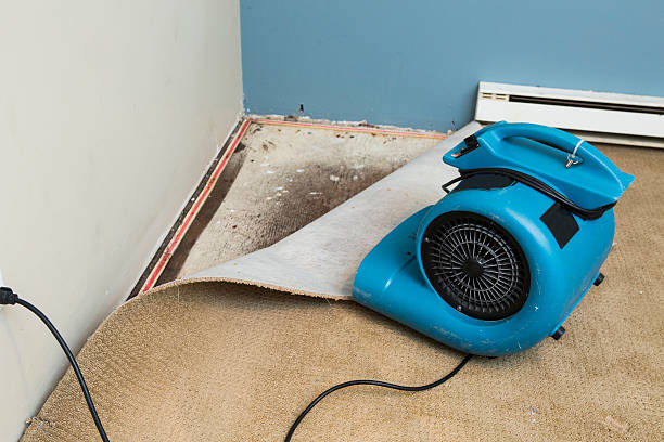 Best Ceiling water damage repair  in Fort Payne, AL
